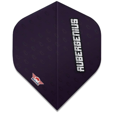 Bull's NL Powerflite Dirk van Duijvenbode Flights (80%)