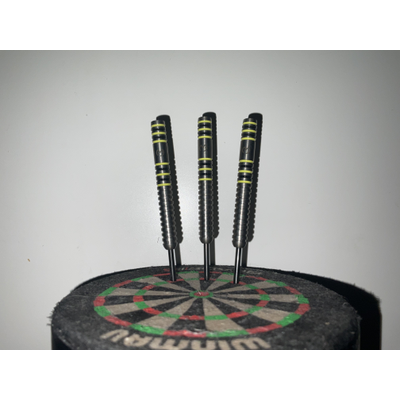 Michael Van Gerwen Steeldarts