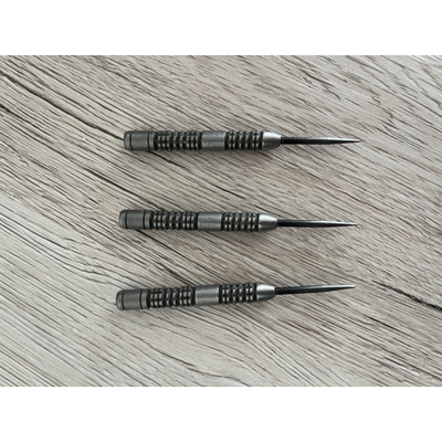 Michael van Gerwen Absolute