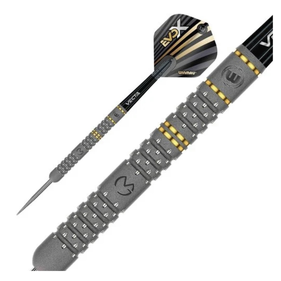 Michael van Gerwen Evo-X, 2 image