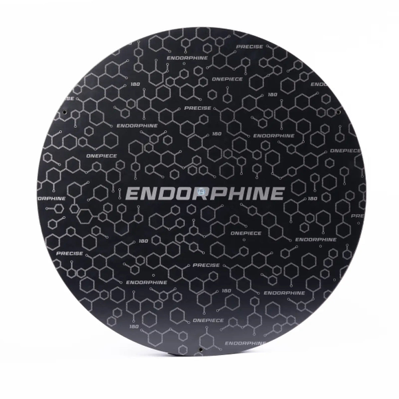 Precise180 | "Endorphine" Steeldartboard inkl. Onepiece Zahlenring "Gunmetal", 8 image