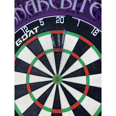 Chris Dobey 95k Swiss Points