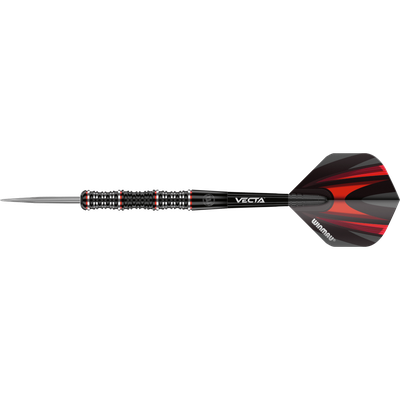 Winmau Mervyn King "King" SE Steeldart 90%, Gewicht: 20g