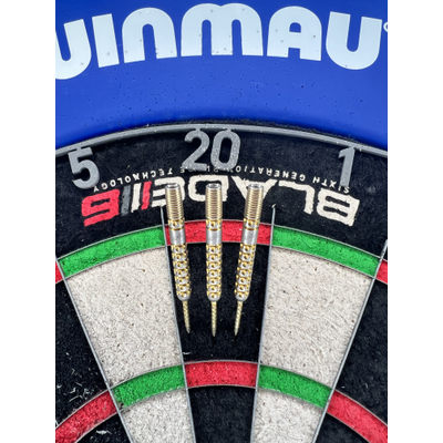 Target Luke Littler G1 Prodigy - Swiss Point 90%