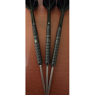 Target Luke Littler G1 90% Swiss Point 23 Gramm