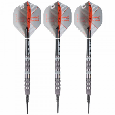 Raymond van Barneveld 95% x Echo - Softdart, 18 Gramm