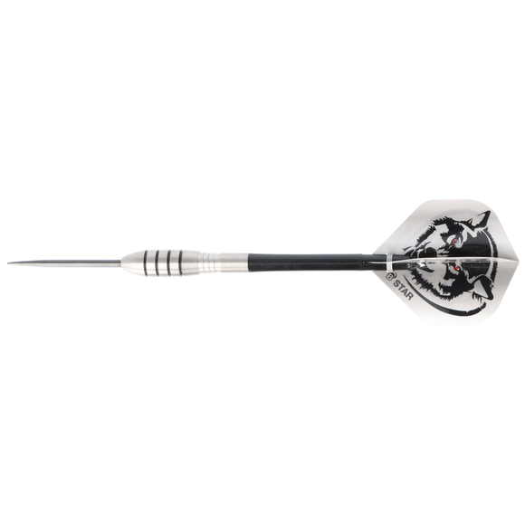 Steeldart Barrels silber, Tropfenform, 85% Tungsten, 21 Gramm, 10 image