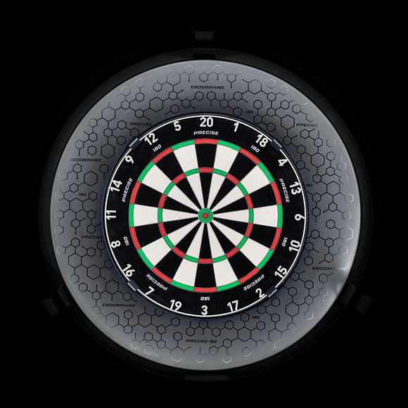 Precise180 | Endorphine Dartboard Bundle Gunmetal + Pro Surround, Surround Variante: Pro, 2 image