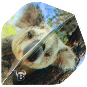 Koala Bär Design, Dart Flight bunt bedruckt