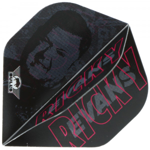 Bulls Player 100 Ricky Evans 80 E2 Flights, Rapid, No.2, 3 Stück