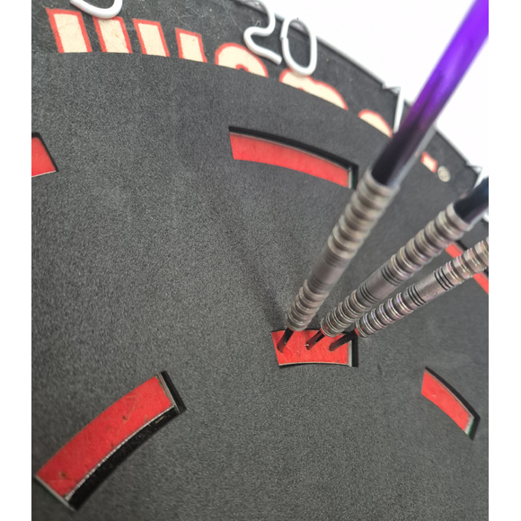 Focus Dartscheiben Abdeckung für Focus Training, Dart Training, Variante: Nr. 1, 2 image